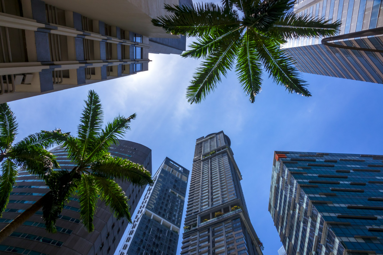 investment property management Sydney
