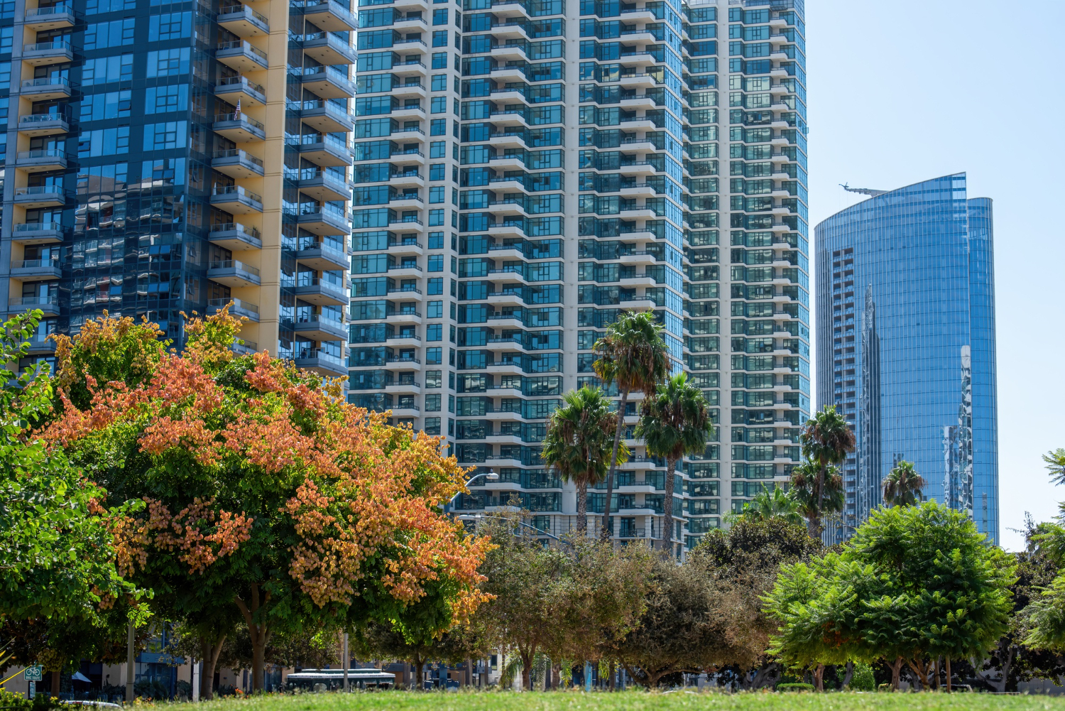 Residential Real Estate Parramatta